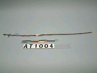 藏品(捕雉陷機)的圖片